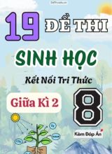 Tuyển tập 19 Đề thi giữa Kì 2 môn Sinh Học 8 sách Kết Nối Tri Thức (Kèm đáp án)